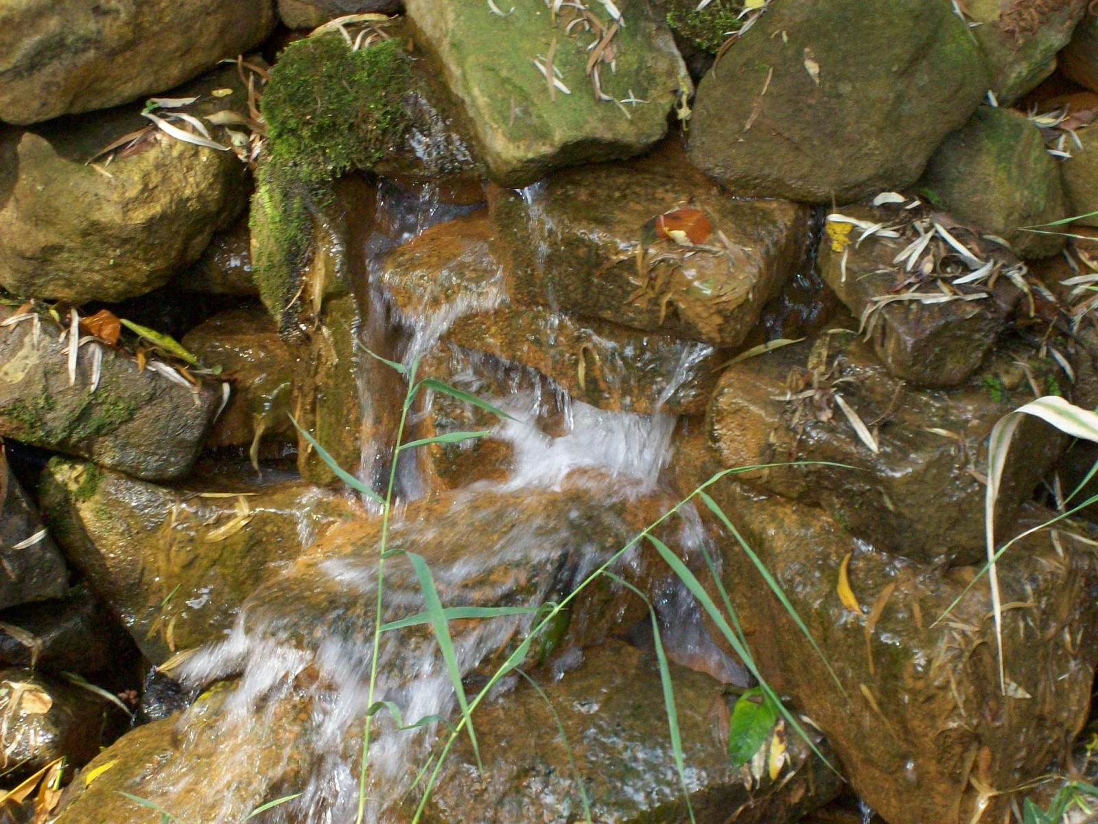 Zoom 18.10.2008-050.jpg